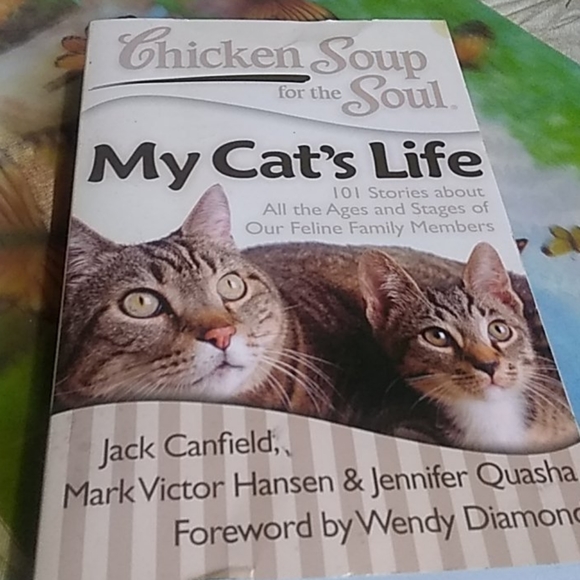 Chicken Soup for the Soul - Picture 1 of 4